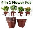 6"Flower Pot (4 In 1) Flower Pot & Tray Gardening