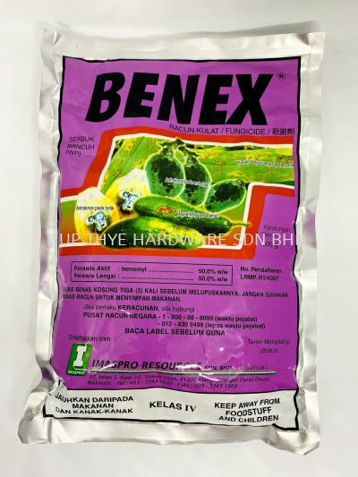 BENEX