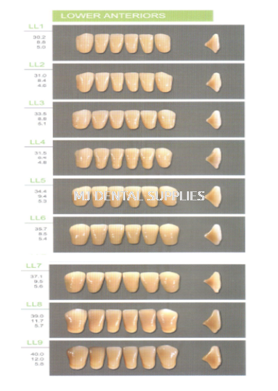 KAILI ACRYLIC TEETH 2 LAYERS - LOWER ANTERIOR, LL SERIES