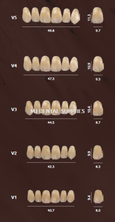 PIGEON ACRYLIC TEETH 2 LAYERS - UPPER ANTERIOR, V SERIES