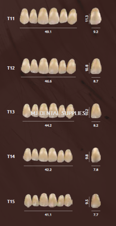 PIGEON ACRYLIC TEETH 2 LAYERS - UPPER ANTERIOR, T SERIES