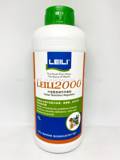 LEILI 2000