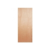 STANDARD PLYWOOD DOOR Plywood Door Doors