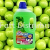2200ml Floor Cleaner(8bot) Cleaning Product WholeSales Price / Ctns