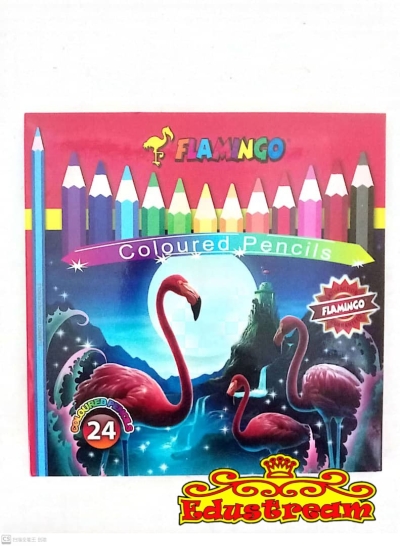 Flamingo 24L Color Pencils