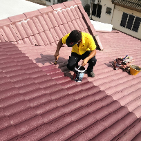 Roof Painting - Shah Alam