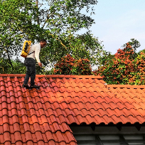 Roof antifungal  - Shah Alam