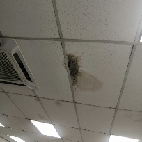 Ceiling Leaking Repair - Glenmarie