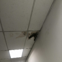 Ceiling Leaking repair - Shah Alam