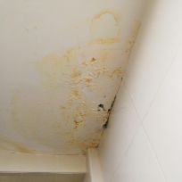 Ceiling Leaking Repair - Kota Kemuning