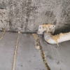 Cement floor leaking - Subang Jaya Waterproofing