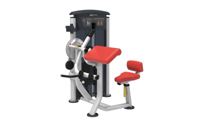  IT9533 Arm Curl/Extension(Arm Curl / Tricep Ext)