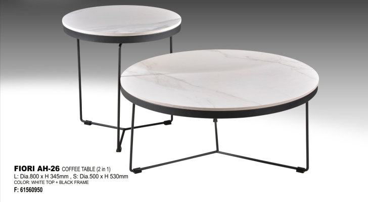 Coffee table & side table (AH-26)