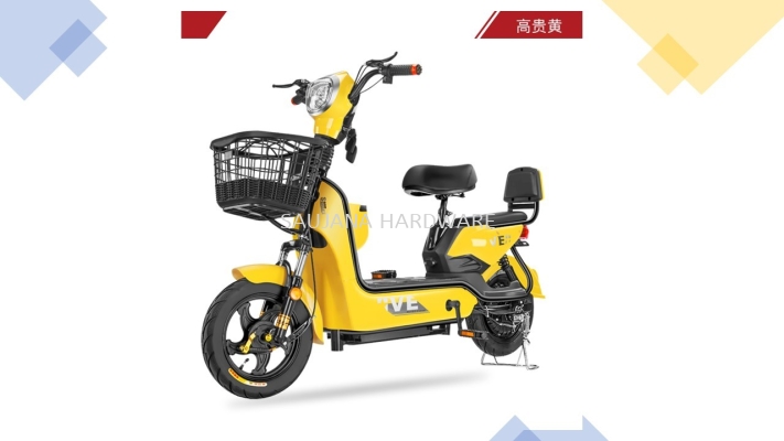 ELECTRIC BIKE