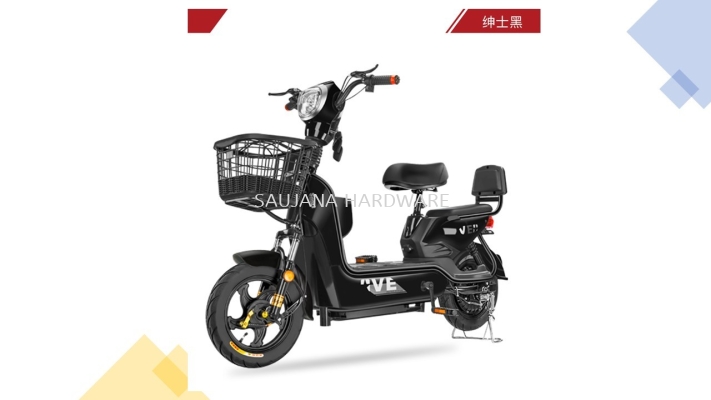 ELECTRIC BIKE