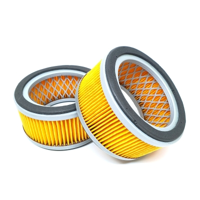 32170979 231847 AM30800 31925 P528206 AIR FILTER