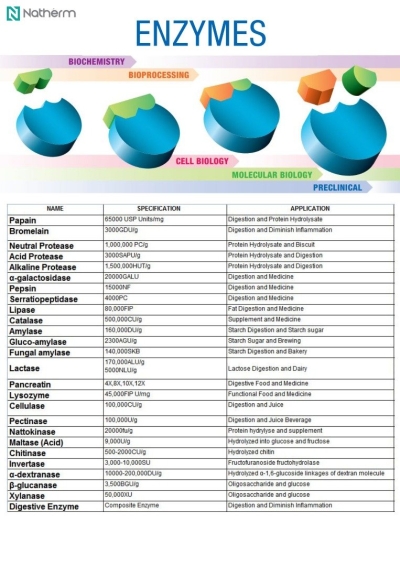 Digestive Enzyme