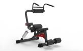 Ab Crunch/Back Extension RL8107 Re-Life Strength Machine Commercial GYM