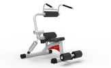 Ab Crunch/Back Extension RL8107 Re-Life Strength Machine Commercial GYM