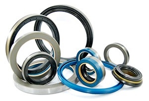 Pneumatic Seal