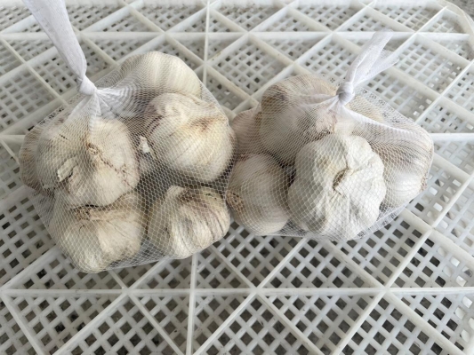 Fresh Garlic (500g)