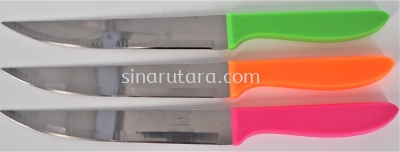 SY-SJ087 FRUIT KNIFE WTH PLASTIC HANDLE