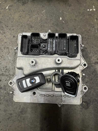 BMW F30 N55 ECU