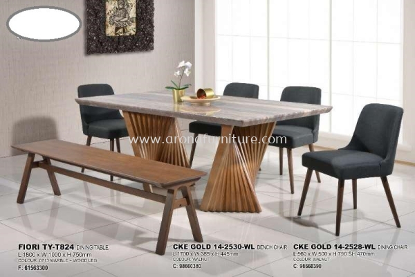 1+4+1B DINING SET