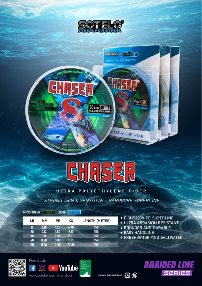 Sotelo Chaser 8 X Braid