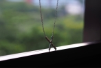 X Necklace (782100959) SIMPLE & DAILY  NECKLACE 