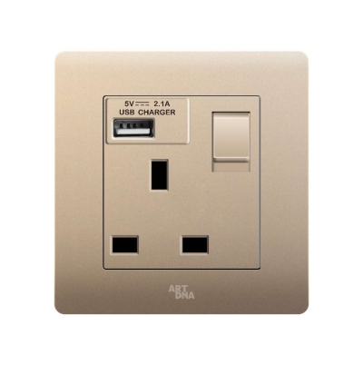 13A SOCKET C/W 2.1A USB CHARGING PORT