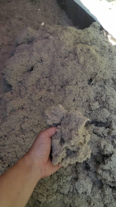 Recycled Paper Pulp (From Used Carton/Paper)
