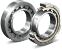 NSK NF224 NF203-NF320 NSK Bearings