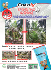 抑制油棕灵芝病的配方 Oil Palm Trial Cocoly Plant Nutrition