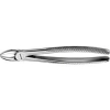 Extraction Forceps DG 101 (Code:172) General Dental Machines, Devices, Equipments