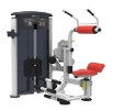 IT9534 Abdominal / Back Extension IT 95 Series Strength Machine Commercial GYM