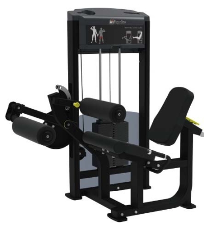  IF9306  SEATED LEG CURL