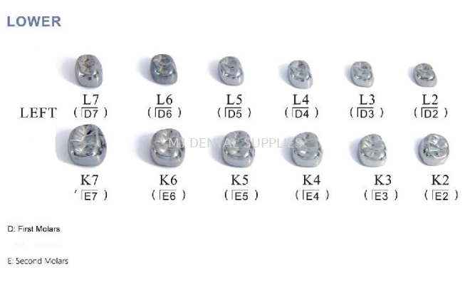 KIDS CROWN - STAINLESS STEEL PRIMARY MOLAR CROWN LOWER LEFT