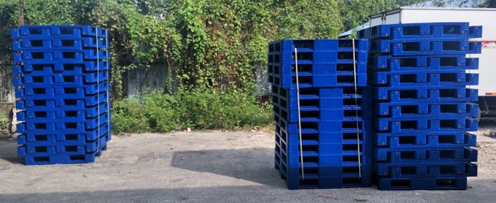 Recycled Plastic Pallet