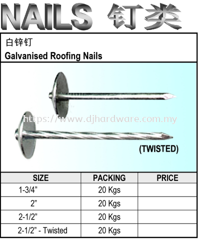 ACE GALVANISED ROOFING NAILS (WS)