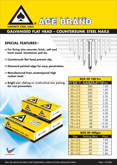 ACE Galvanised Flat Head  Countersunk Steel Nails (WS)