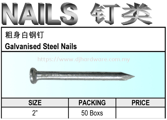 ACE GALVANISED STEEL NAILS (WS)