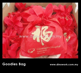 Non Woven Gift Bag