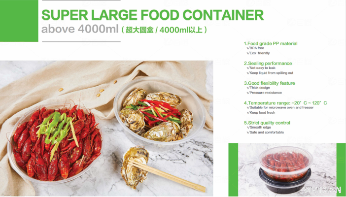 Super Large Food Container (Above 4000ml)