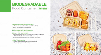Biodegradeable Food Container