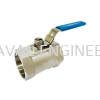 NOREX SS 1PC Ball Valve BSPT Ball Valve