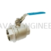 NOREX SS 2PC Ball Valve BSPT Ball Valve