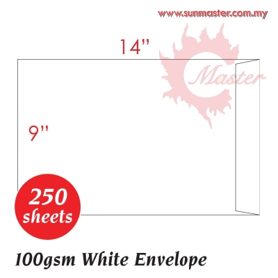 9" x 14" White Envelope