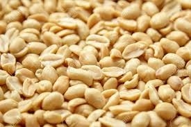 Premium Roasted Peanut 100GM