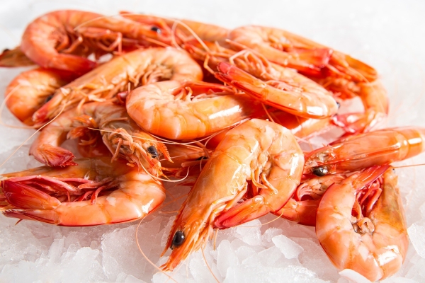 Cooked Vannamei Prawn Whole 31 40 1KG